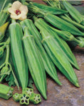 Okra